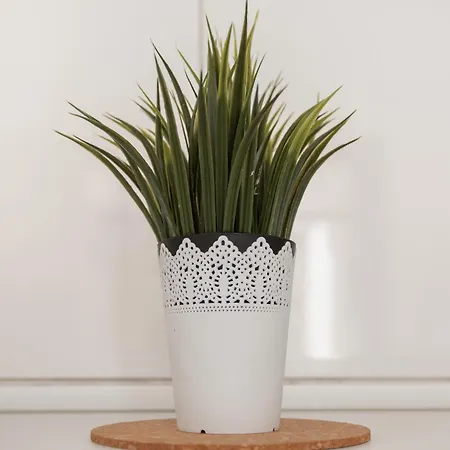 Olas * Maspalomas (Gran Canaria)