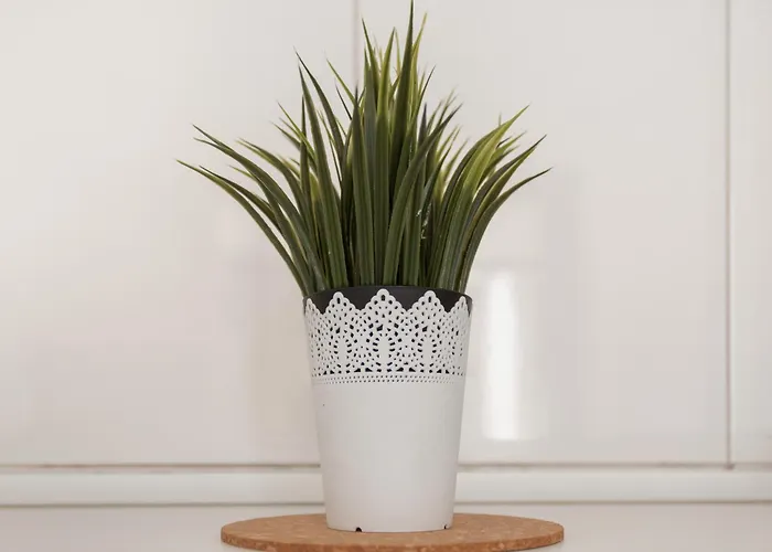 En Playa Del Ingles * ماسبالوماس